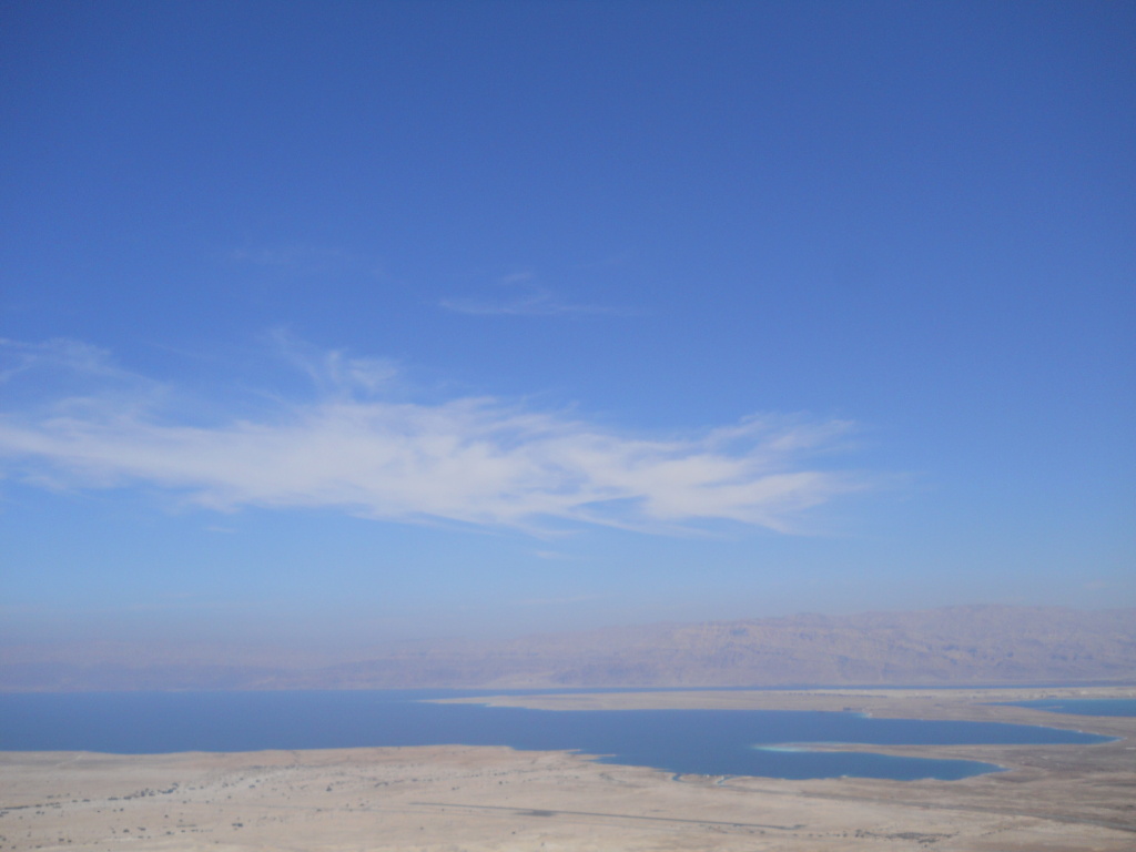DSCN0287