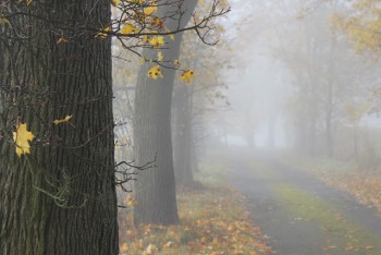 img_5973.jpg