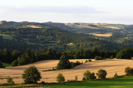 p8220341.jpg