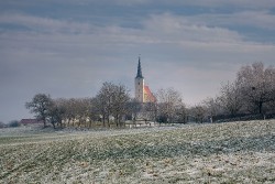 nature-g59a1250d1_1920.jpg