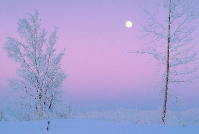 winter-scenic-with-hoar-frost_1977.jpg